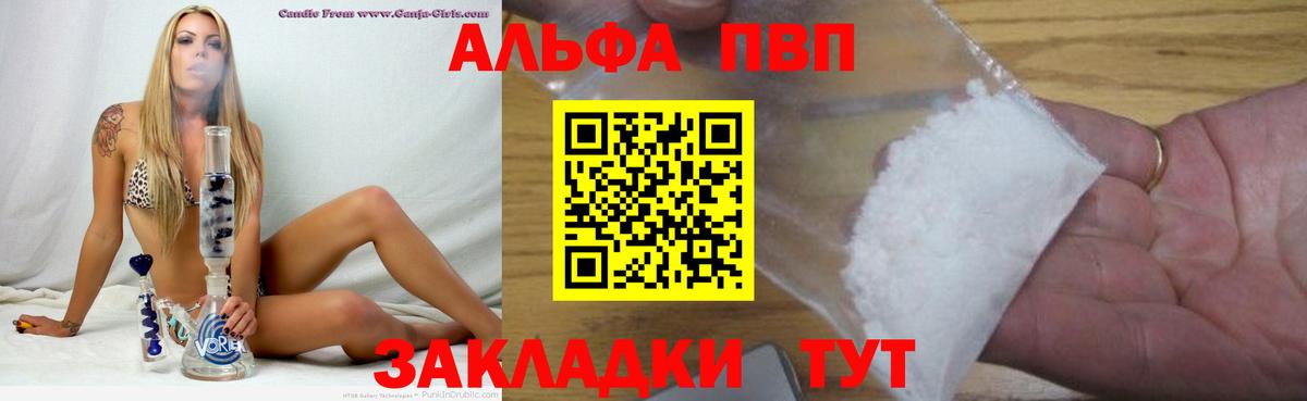 A PVP СК КРИС Кинель