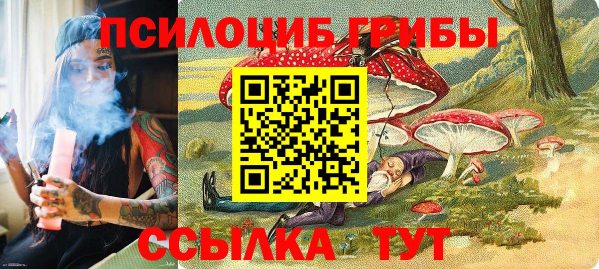 Галлюциногенные грибы Magic Shrooms Кинель