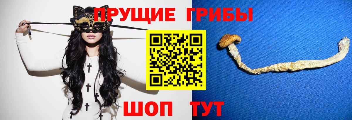 Псилоцибиновые грибы GOLDEN TEACHER  Вход с VPN  Кинель 